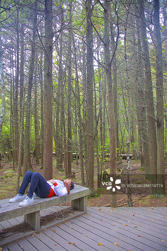 10月，威弗利特大西洋白雪松沼泽小径中冥想的女子图片素材