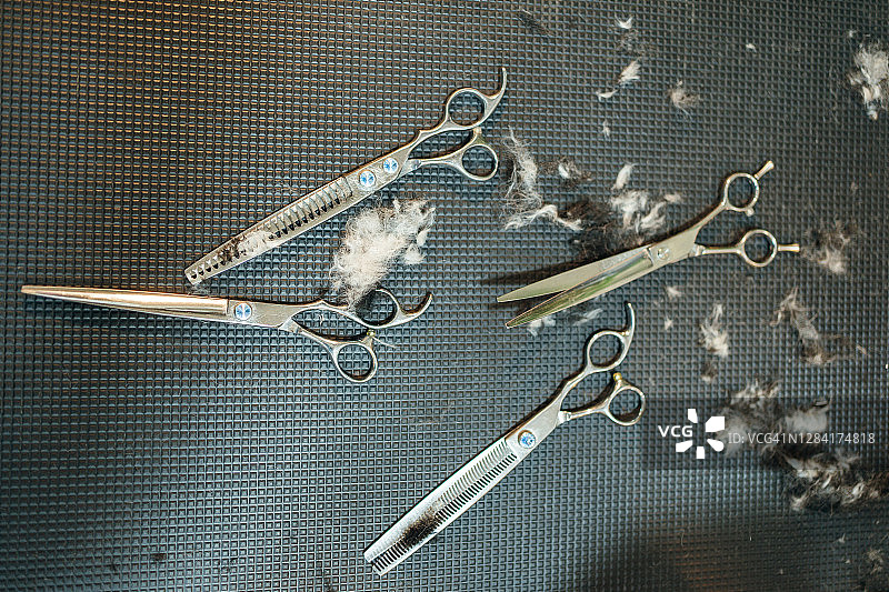 宠物梳理工具图片素材