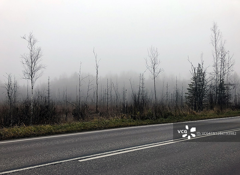 雾蒙蒙的秋日傍晚，沿着沼泽地的高速公路图片素材