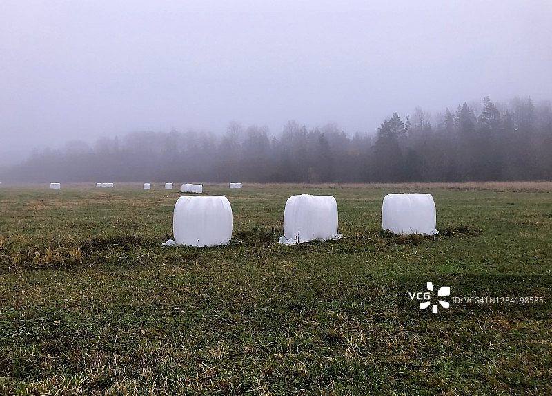 雾蒙蒙的秋日傍晚田野上的干草堆图片素材