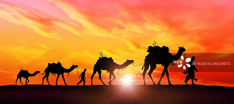 美丽日落时分的沙漠骆驼商队图片素材
