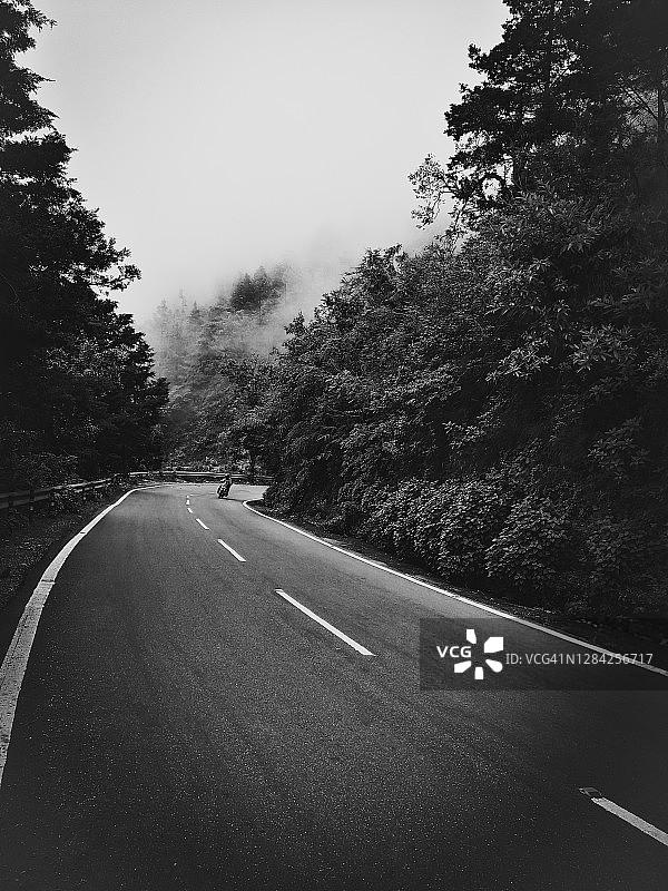 自行车行驶在喜马拉雅亚热带松树林中—印度北阿坎德邦奈尼塔尔图片素材