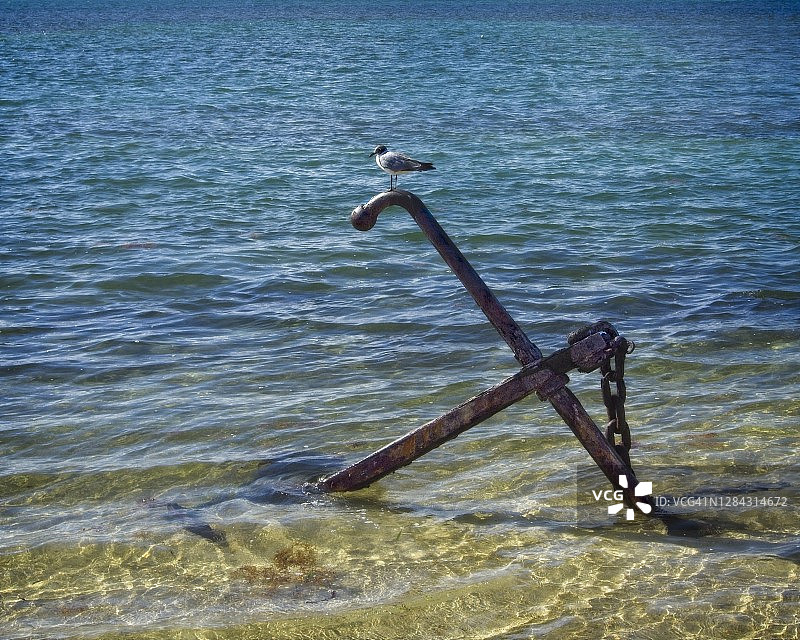 一个废弃的锚装饰着海滩，并为海鸥提供了一个方便的栖息地图片素材