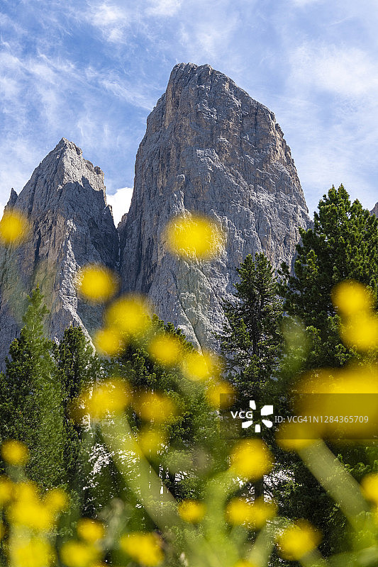 意大利多洛米蒂山区奥德勒峰鲜花盛开图片素材