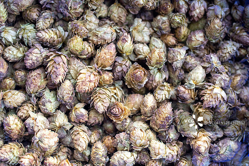 啤酒酿造材料图片素材