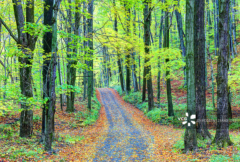 格雷洛克山的秋季道路图片素材