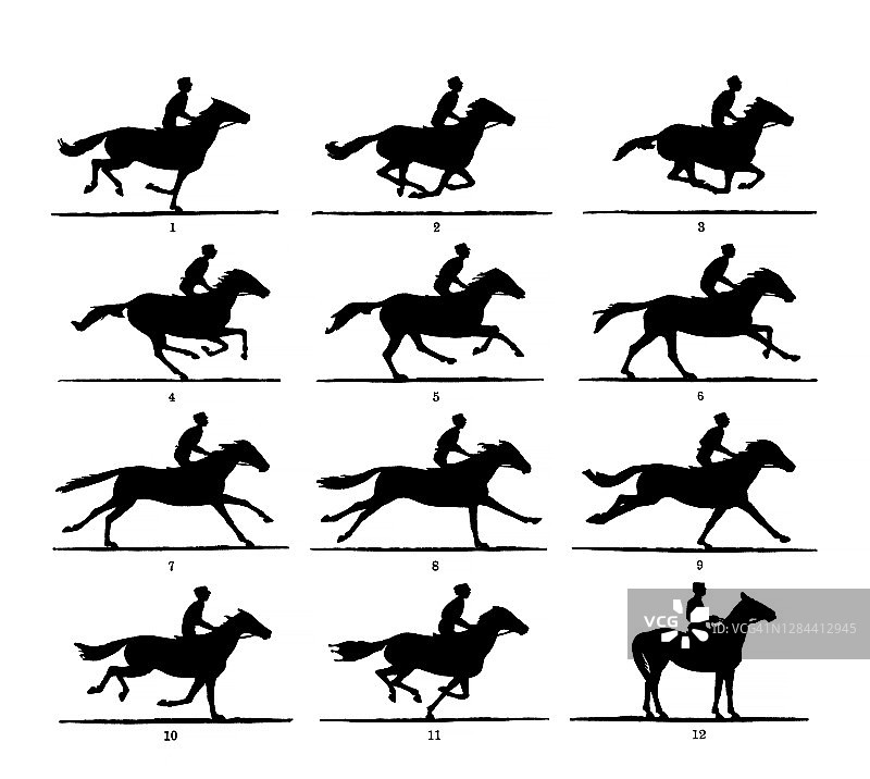 奔跑的马运动序列古版画插图图片素材