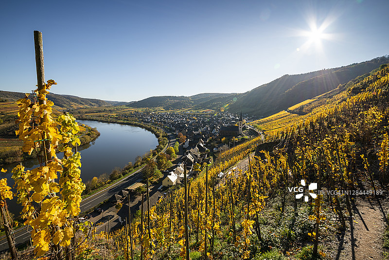 布雷姆的摩泽尔葡萄园（秋季）图片素材