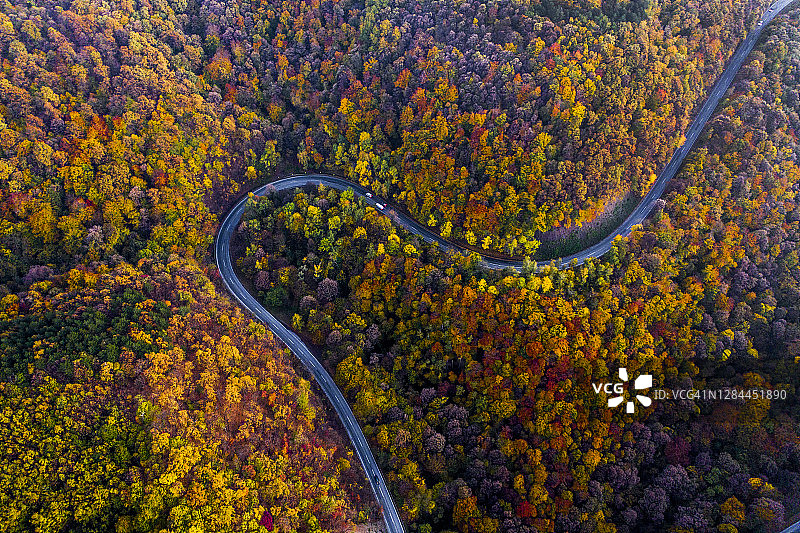 秋日森林中的蜿蜒山路（俯视）图片素材