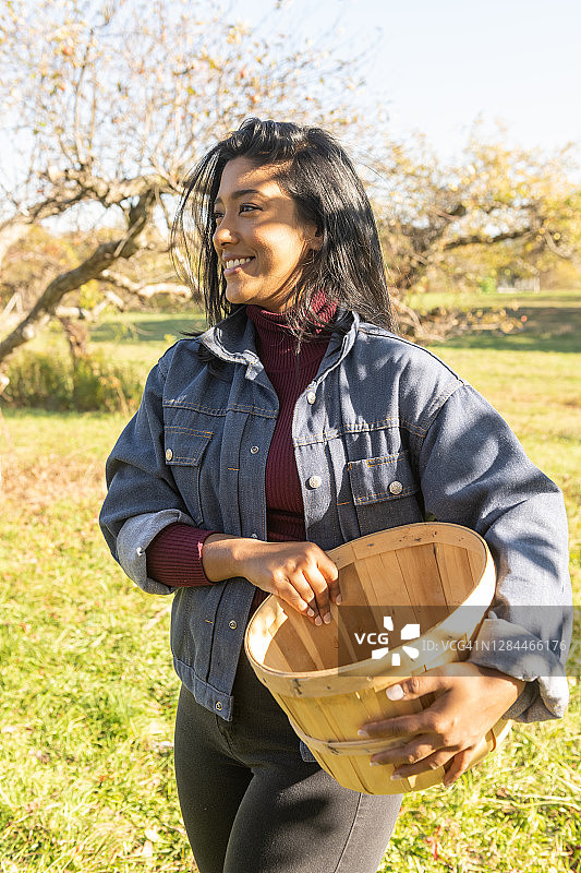 在纽约州哈德逊河谷果园采摘苹果的亚裔美国妇女图片素材