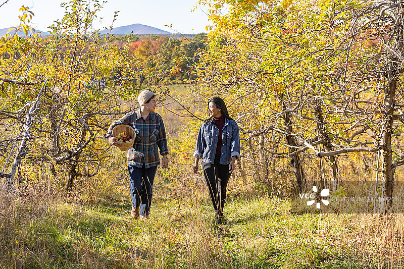 成年女性朋友在纽约州北部秋日里一起散步图片素材