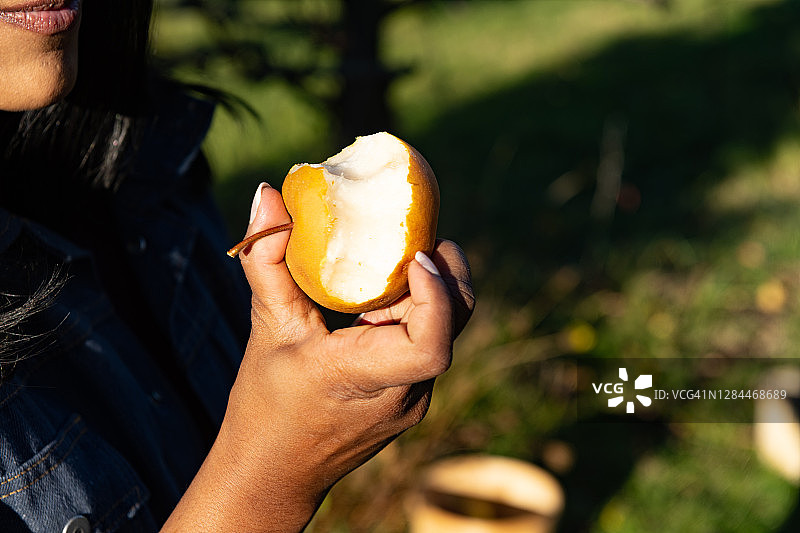 亚裔美籍印度裔女性手持半个梨（纽约州北部）图片素材