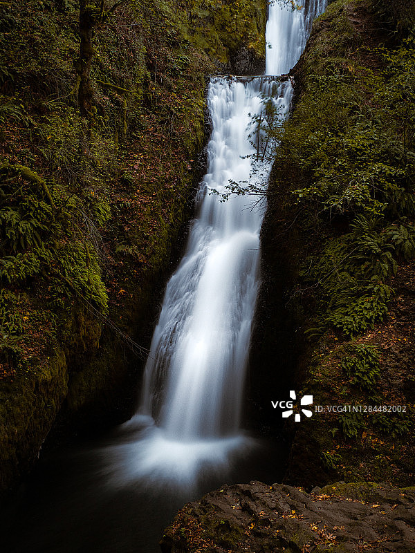 俄勒冈州哥伦比亚河峡谷的新娘面纱瀑布图片素材