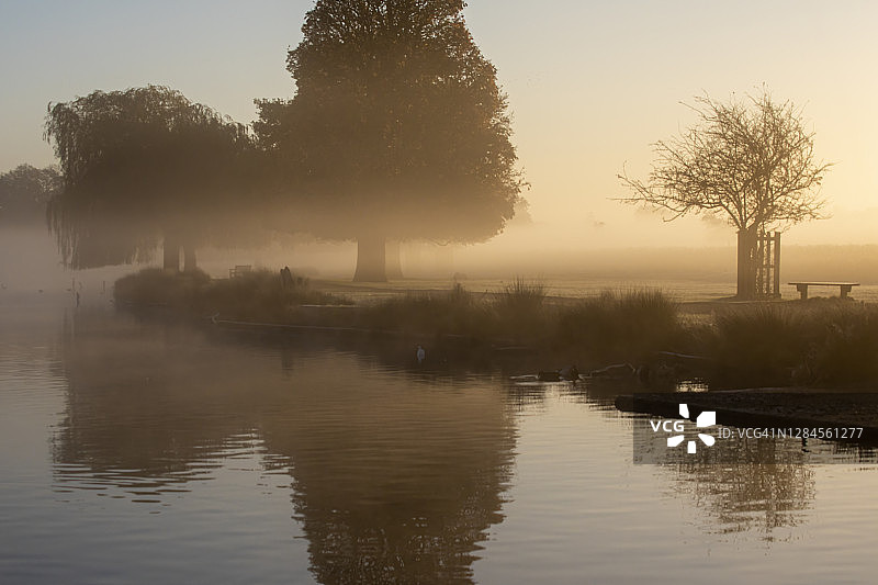 初升的太阳图片素材