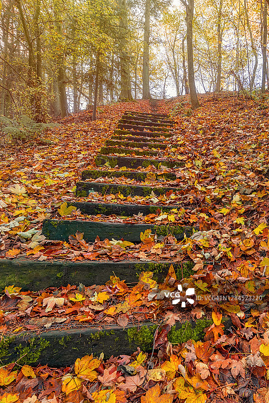 秋季台阶图片素材