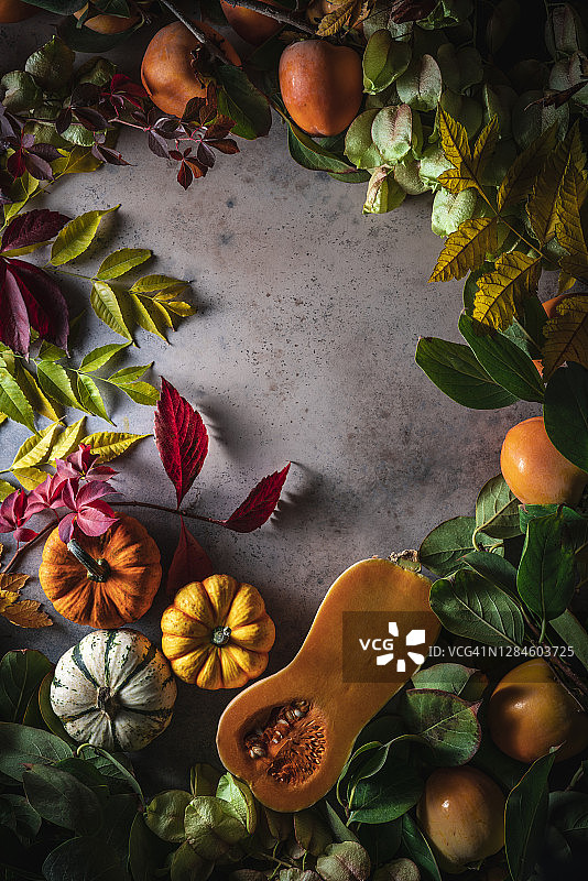 秋季背景与南瓜、柿子树枝和冬南瓜图片素材