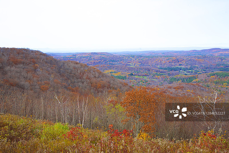 从匹兹菲尔德州立森林眺望的景色，匹兹菲尔德图片素材