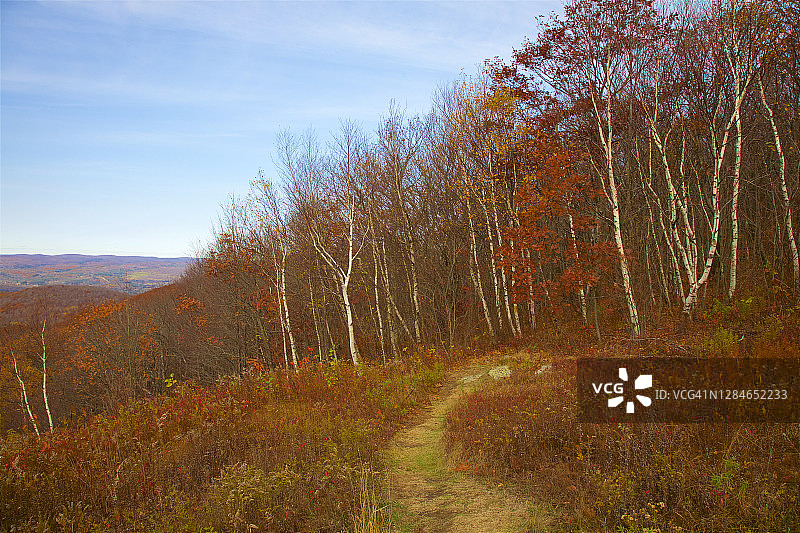 匹兹菲尔德州立森林山顶附近的小路和树木图片素材