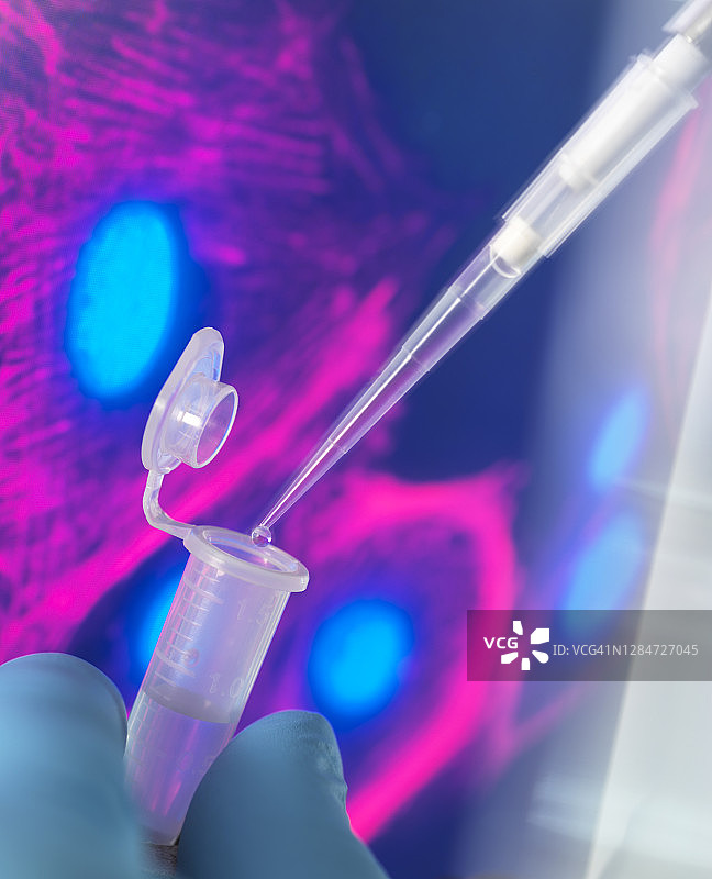 科学家用移液管向小瓶中滴入样品图片素材