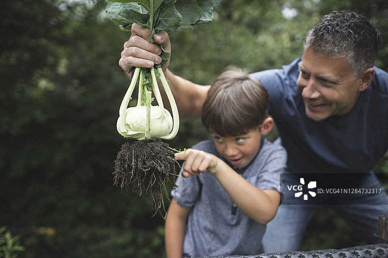 男人拿着撇蓝，顽皮的男孩指着花园里的根图片素材
