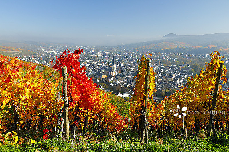 秋季的葡萄园和阿尔韦勒图片素材