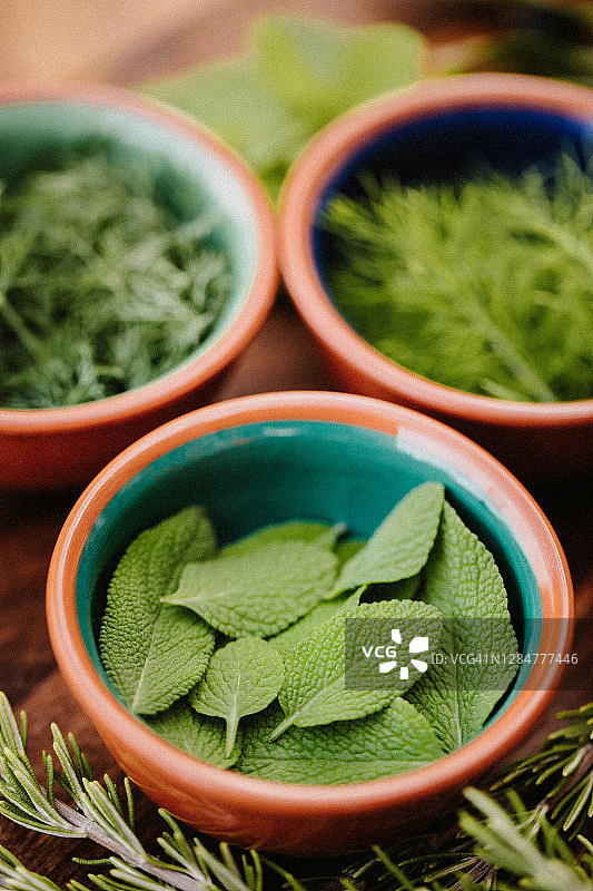 三种不同的美味香草，前景聚焦在鼠尾草上图片素材
