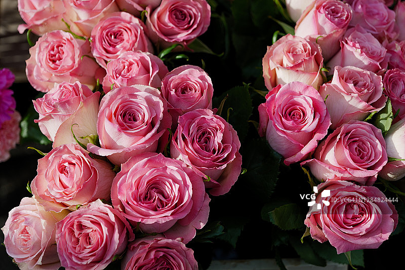 花店中黄色与粉色玫瑰的特写，情人节的鲜艳花朵图片素材