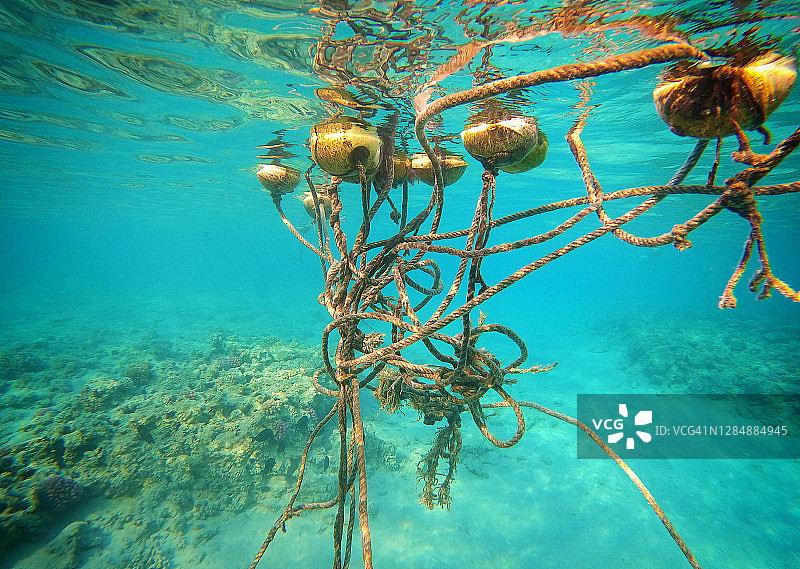 打结的海洋绳索：红海珊瑚礁保护图片素材