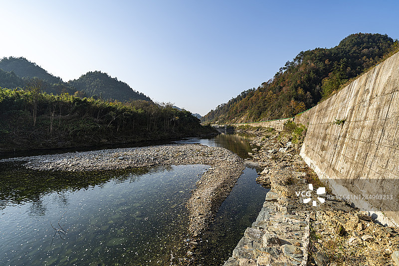 夏季森林中的溪流图片素材