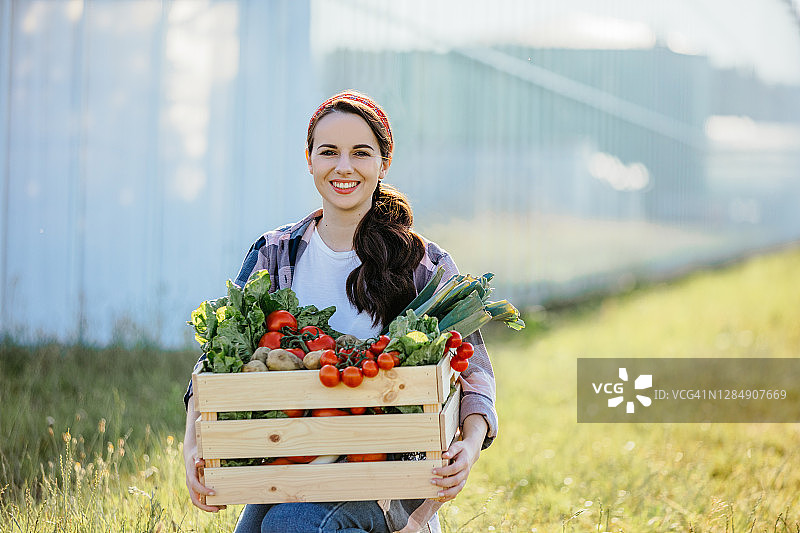 笑容满面的女人抱着蔬菜箱。在温室工作的女农民图片素材