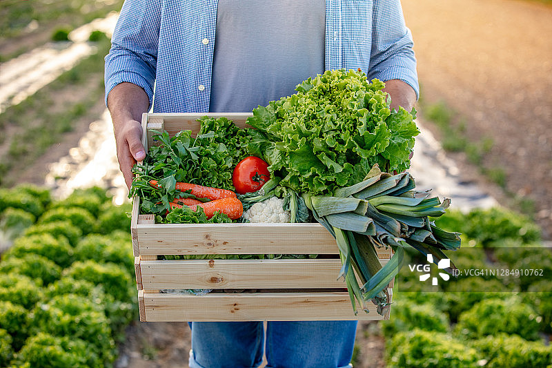 蔬菜盒特写图片素材
