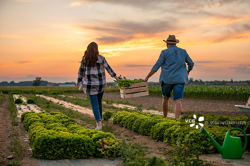 在田野里工作的男女图片素材
