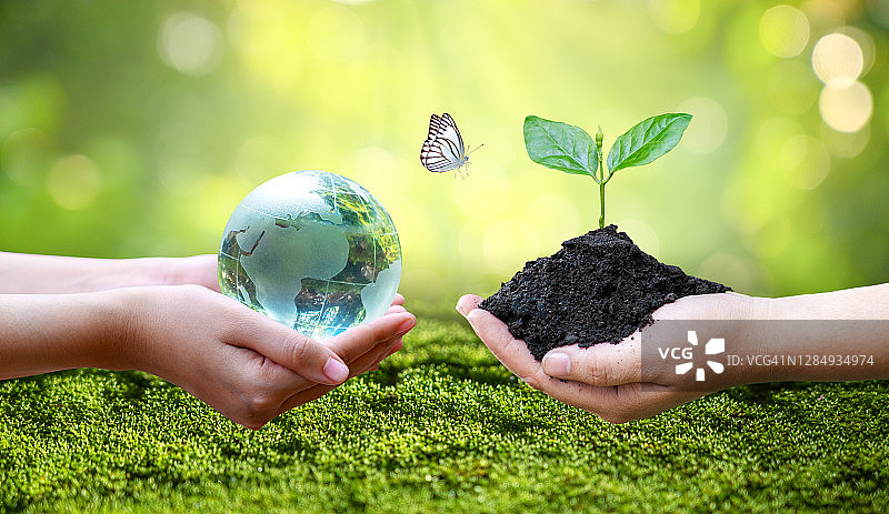 拯救世界，保护环境概念：绿色背景下的地球图片素材