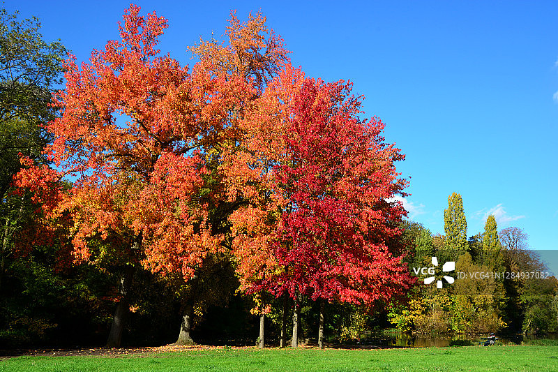在巴黎长椅上的男人图片素材