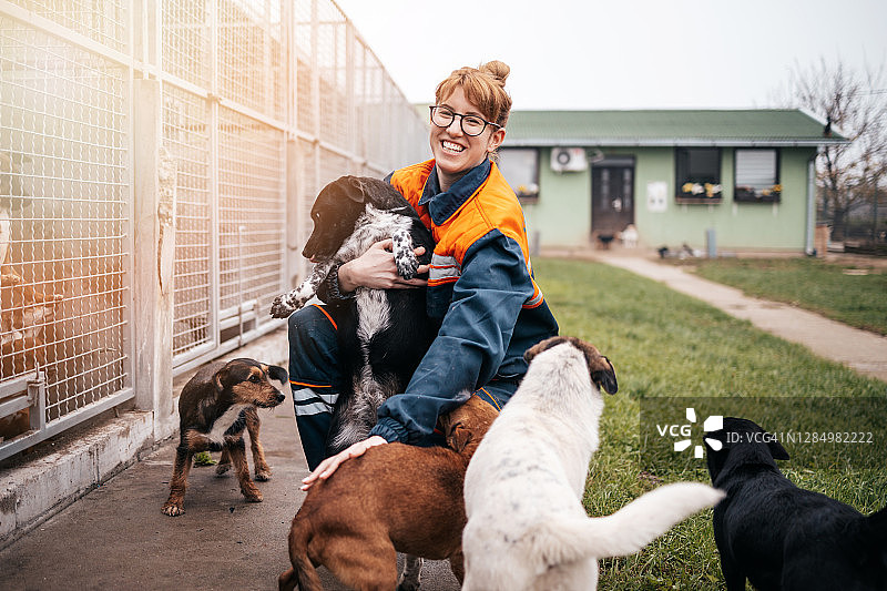 动物收容所图片素材