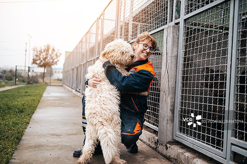 动物收容所图片素材