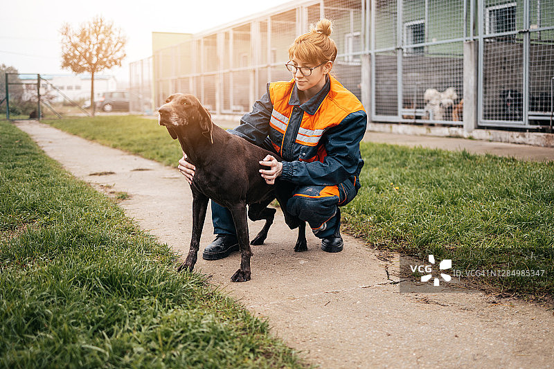 动物收容所图片素材