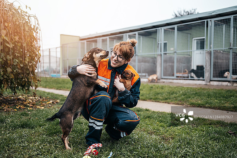 在动物收容所的年轻女人图片素材