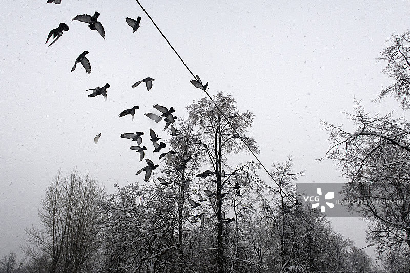 俄罗斯莫斯科城市冬季风景图片素材