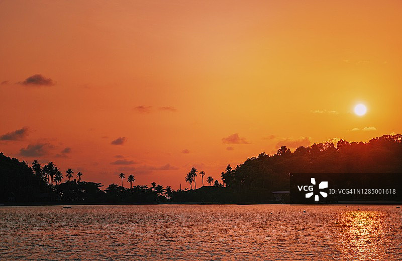 日落时分象岛的树木轮廓剪影图片素材