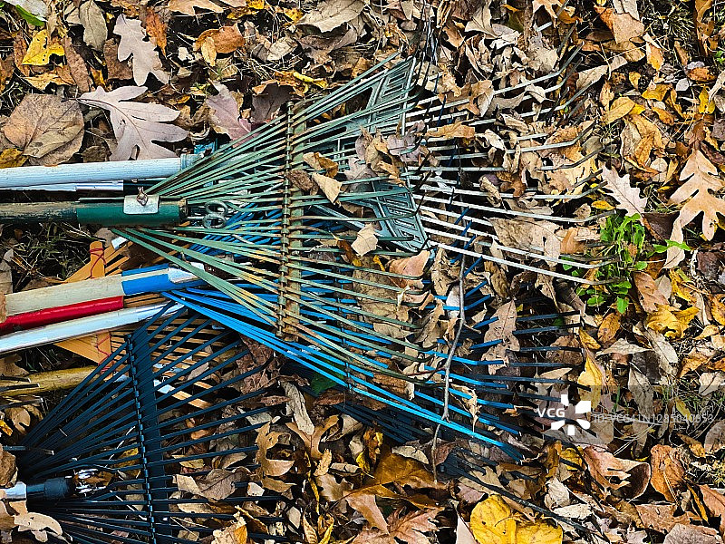 花园耙子与秋叶素材图片素材