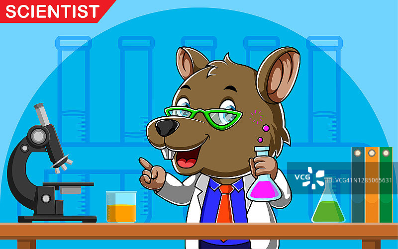 在实验室里拿着化学液体的小老鼠科学家图片素材