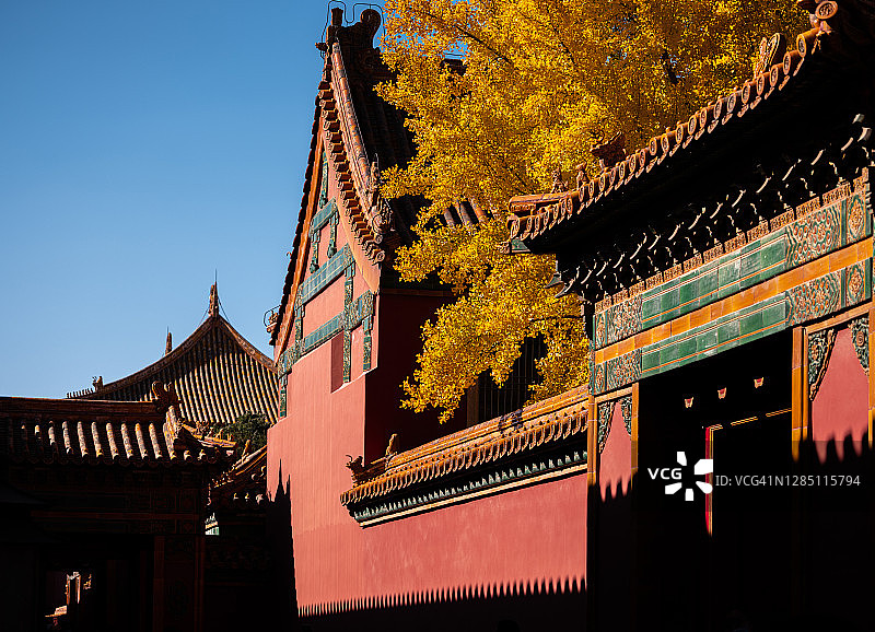 中国北京的紫禁城图片素材