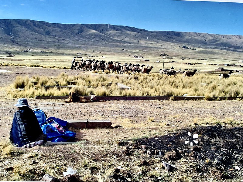 玻利维亚高原图片素材