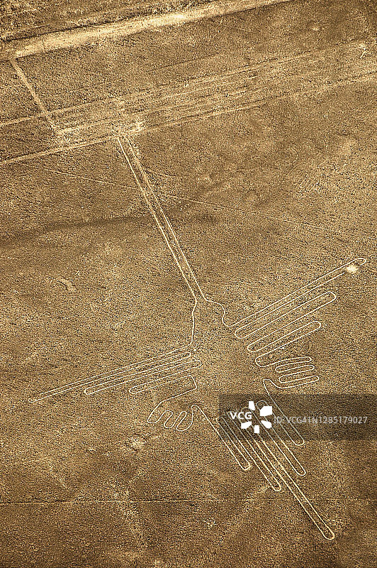 秘鲁纳斯卡线条的蜂鸟图片素材