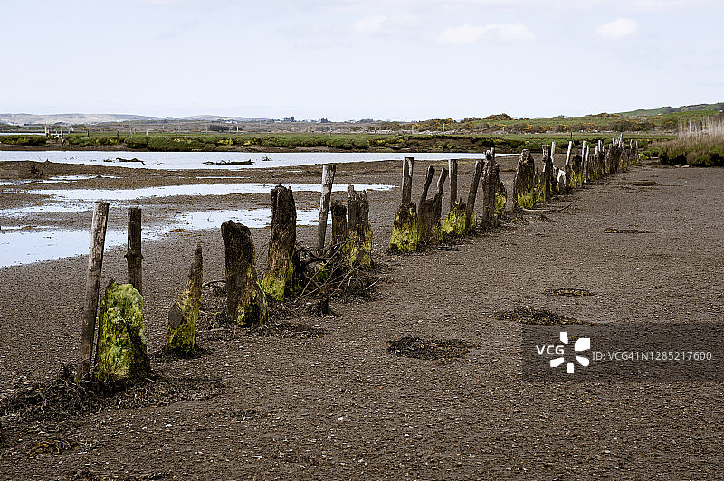 爱尔兰阿德拉海滩图片素材