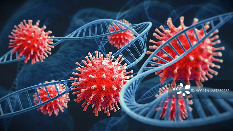 在放大倍数下与深蓝色DNA细胞结构相互缠绕的红色新型冠状病毒图片素材