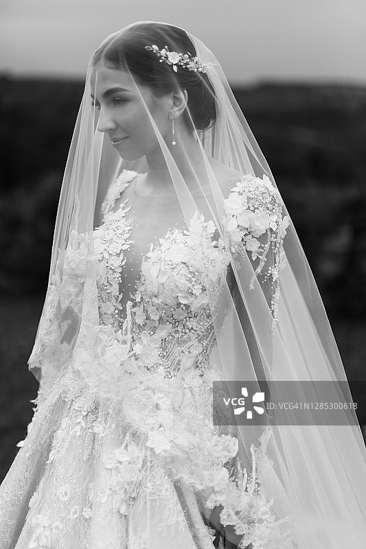 华丽新娘的黑白户外肖像图片素材