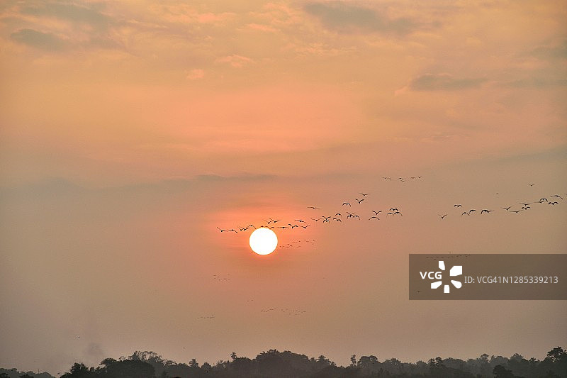 斯里兰卡韦利格默海滩风光图片素材