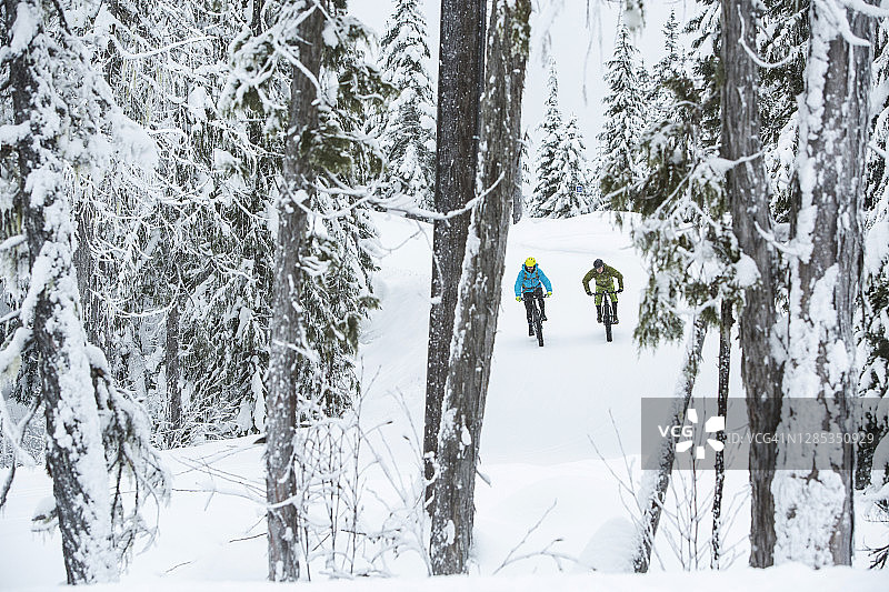 朋友们在加拿大惠斯勒的雪地里骑着胖胎自行车图片素材